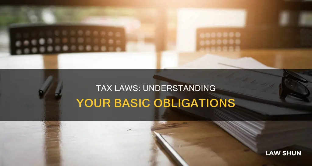 what re the common laws on p[aying taxes